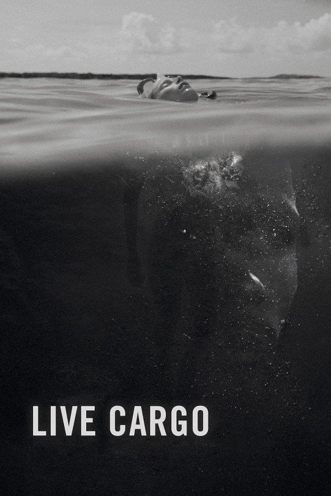 Live Cargo (2016) poster