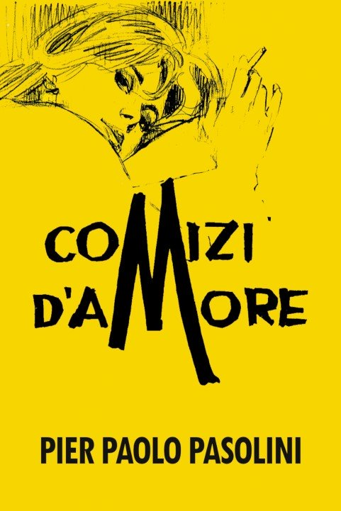 Comizi d'amore (1965) poster