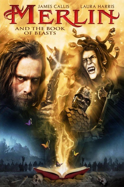 Merlin and the Book of Beasts poster