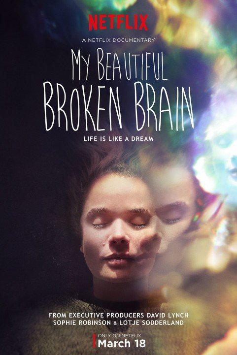 My Beautiful Broken Brain (2014) poster