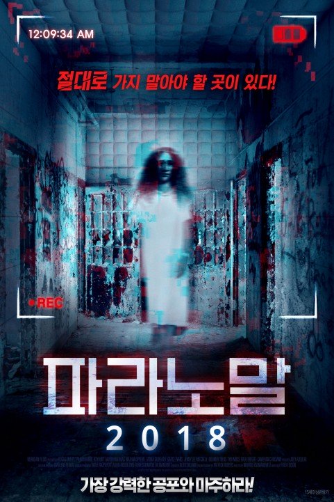 Paranormal Asylum: The Revenge of Typhoid Mary (2013) poster
