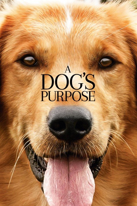 A Dog's Purpose (2017) poster