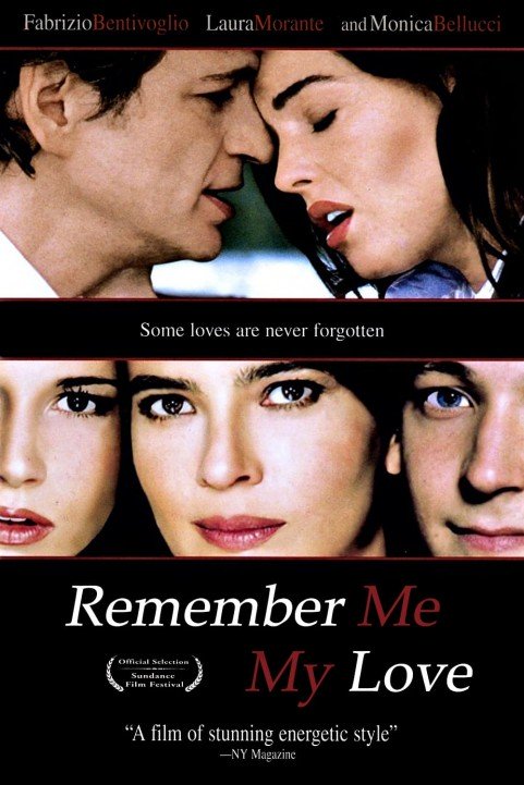Remember Me, My Love poster