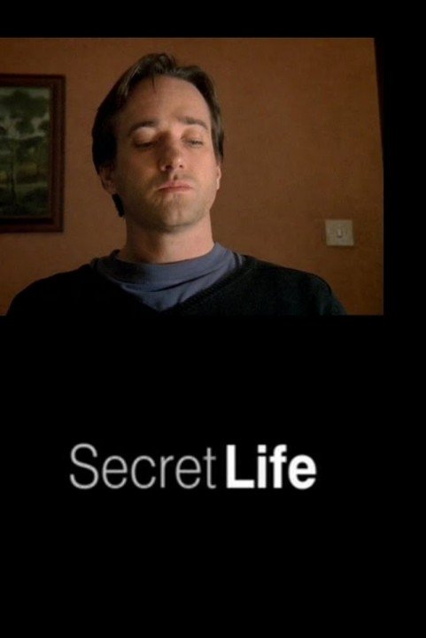 Secret Life poster
