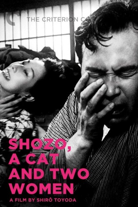 A Cat, a Man, and Two Women - 猫と庄造と二人のをんな poster
