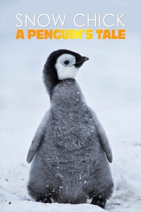 Snow Chick - A Penguin's Tale (2015) poster