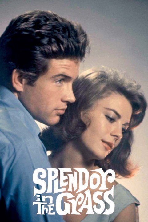 Splendor in the Grass (1961) poster