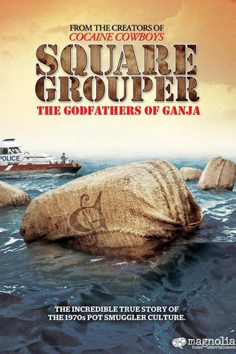 Square Grouper poster