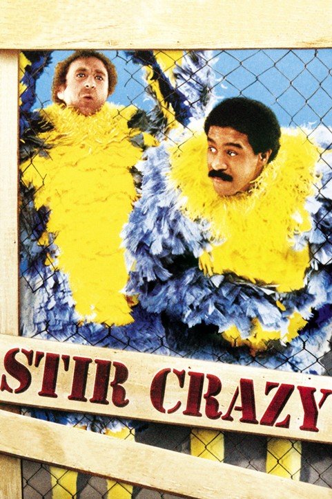 Stir Crazy (1980) poster