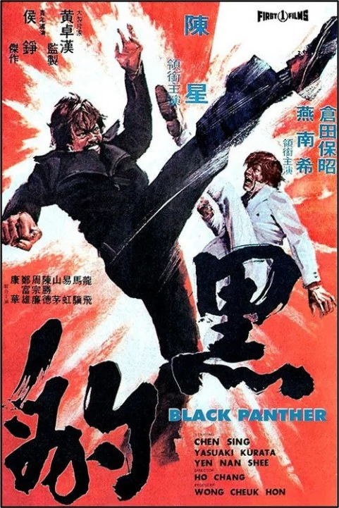 The Black Im poster