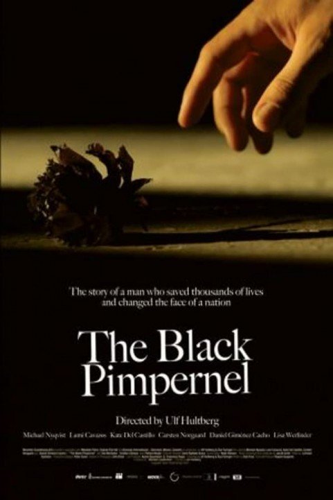 The Black Pimpernel poster