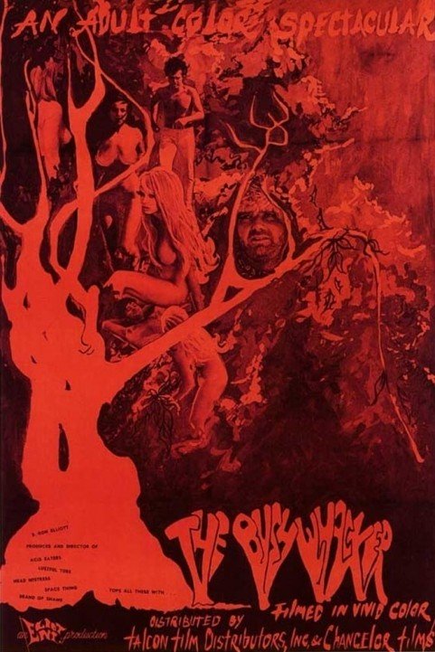 The Bushwhacker poster