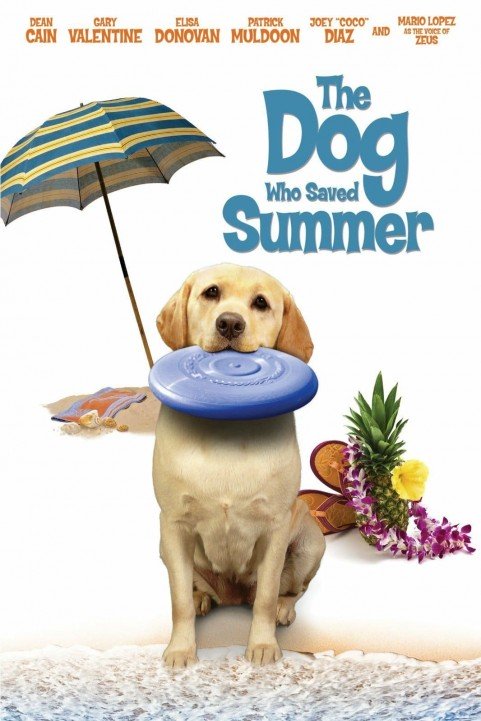 The Dog Who Saved Summer poster