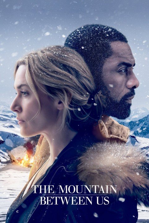 The Mountain Between Us (2017) poster