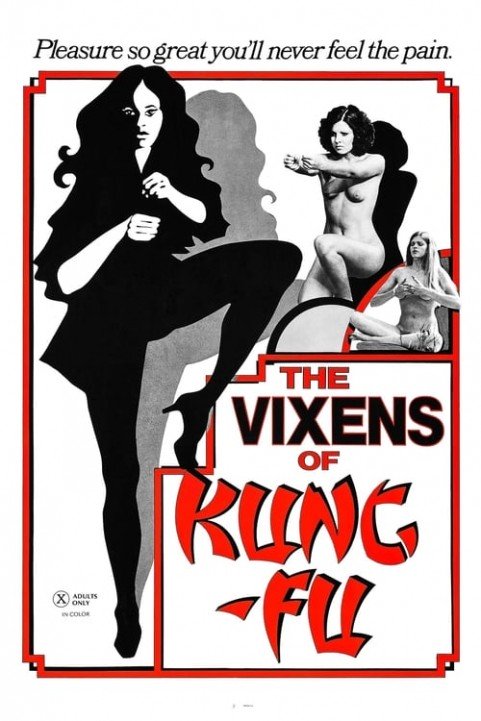The Vixens of Kung Fu (A Tale of Yin Yang) poster