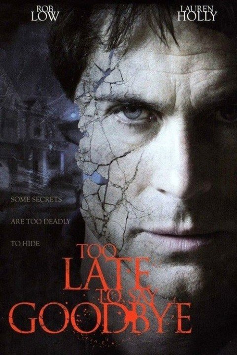 Too Late To Say Goodbye poster