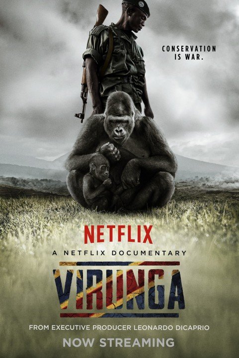 Virunga poster