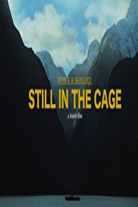 Wiwek & Skrillex: Still in the Cage poster