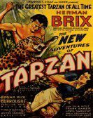 The New Adventures of Tarzan Free Download