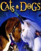 Cats & Dogs (2001) Free Download