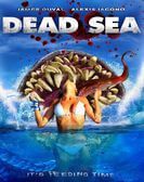 Dead Sea (2014) Free Download