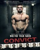 Convict 2014 Free Download