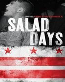 Salad Days (2014) poster