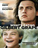 What's Eating Gilbert Grape (1993) Free Download