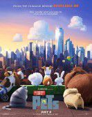 The Secret Life of Pets (2016) Free Download