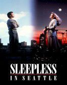 Sleepless in Seattle Free Download
