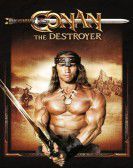 Conan the Destroyer Free Download