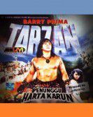 Tarzan Penunggu Harta Karun Free Download