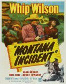 Montana Incident poster