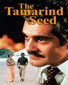 The Tamarind Seed Free Download