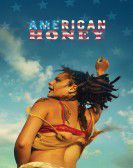American Honey Free Download