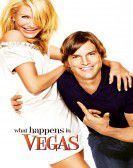What Happens in Vegas Free Download