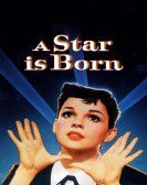 A Star Is Born Free Download