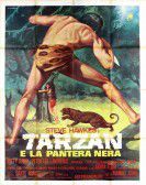 Tarzán y el arco iris poster