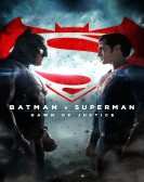poster_batman-v-superman-dawn-of-justice_tt2975590.jpg Free Download