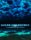 Ocean Emergency: Currents of Hope poster
