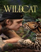 Wildcat Free Download