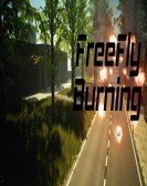 FreeFly Burning poster