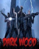Darkwood poster