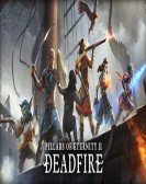 Pillars of Eternity II Deadfire poster
