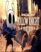 Hollow Knight Godmaster poster