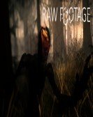 RAW FOOTAGE poster