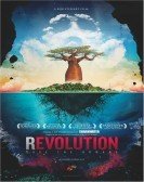Revolution (2013) poster