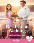 Destination Wedding (2017) Free Download