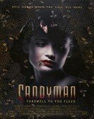 Candyman: Farewell to the Flesh (1995) poster