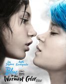 Blue Is the Warmest Color (2013) poster